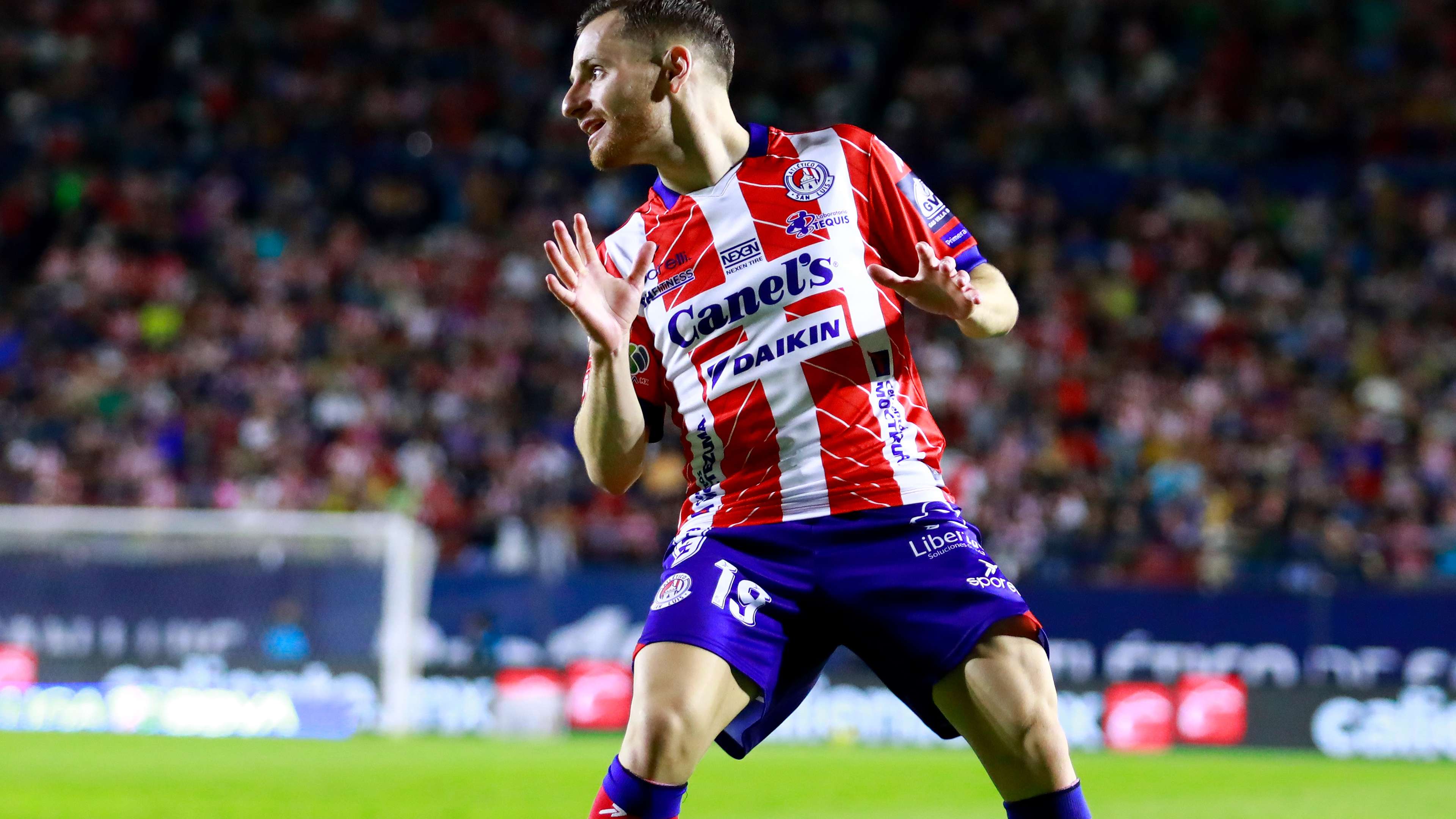 这些元素共 这些元素共