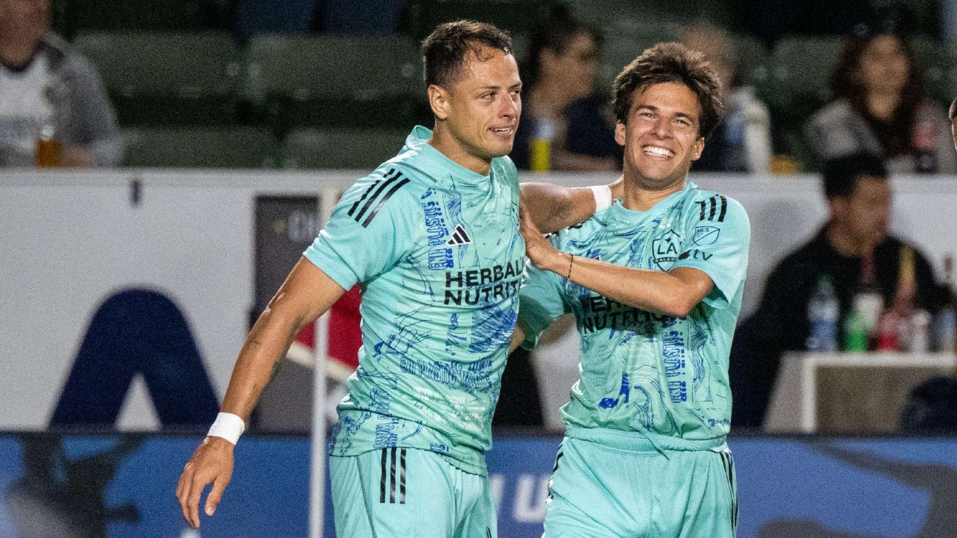 和培养年轻 和培养年轻